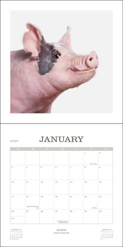 Farm Life 2027 Square Wall Calendar - Image 3