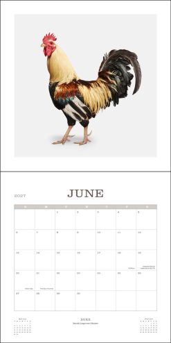 Farm Life 2027 Square Wall Calendar - Image 4