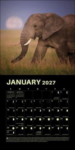 Lunar 2027 Square Wall Calendar - Image 4