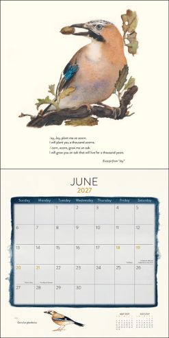 Lost Spells 2027 Square Wall Calendar - Image 3