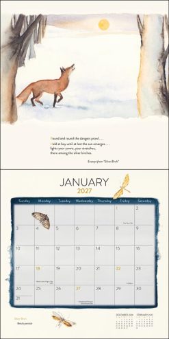 Lost Spells 2027 Square Wall Calendar - Image 4