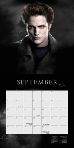 Twilight 2027 Square Wall Calendar - Image 5