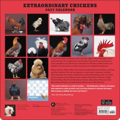 Alternative view of Extraordinary Chickens 2027 Square Wall Calendar