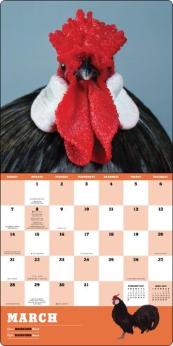 Extraordinary Chickens 2027 Square Wall Calendar - Image 3