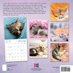 Alternative view of Cat Naps 2027 Square Wall Calendar