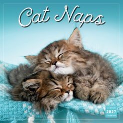 Cat Naps 2027 Square Wall Calendar