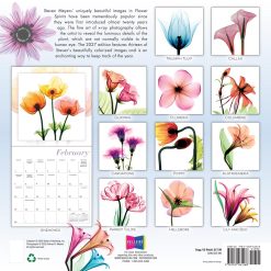 Alternative view of Flower Spirits: Radiographs of Nature by Steven N. Meyers 2027 Square Wall Calendar