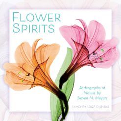 Flower Spirits: Radiographs of Nature by Steven N. Meyers 2027 Square Wall Calendar