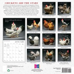 Alternative view of Glamour Chicks 2027 Square Wall Calendar