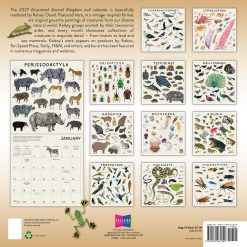Alternative view of The Illustrated Animal Kingdom Kelsey Oseid 2027 Square Wall Calendar