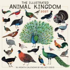 The Illustrated Animal Kingdom Kelsey Oseid 2027 Square Wall Calendar