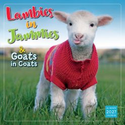 Lambies in Jammies & Goats in Coats 2027 Square Wall Calendar