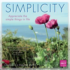 Simplicity Deborah DeWit 2027 Square Wall Calendar