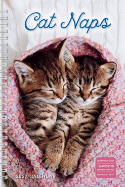 Cat Naps 2027 Engagement Diary