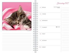 Alternative view of Cat Naps 2027 Engagement Diary