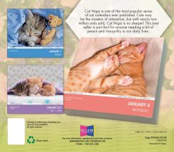 Alternative view of Cat Naps 2027 Boxed Desk Calendar