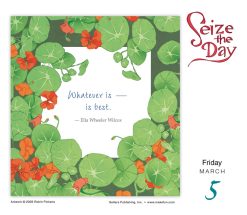 Seize the Day and Make it Yours 2027 Boxed Desk Calendar - Image 4