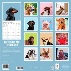 Alternative view of Judgmental Dogs 2027 Square Wall Calendar