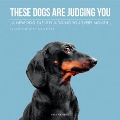 Judgmental Dogs 2027 Square Wall Calendar