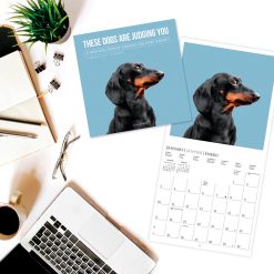 Judgmental Dogs 2027 Square Wall Calendar - Image 3