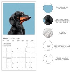 Judgmental Dogs 2027 Square Wall Calendar - Image 4