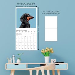 Judgmental Dogs 2027 Square Wall Calendar - Image 5