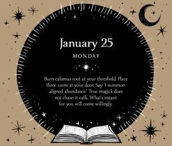 Witch's 2027 Boxed Desk Calendar - Image 7
