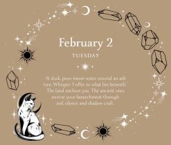 Witch's 2027 Boxed Desk Calendar - Image 8