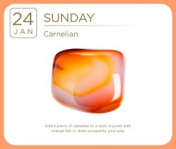 Crystal 2027 Boxed Desk Calendar - Image 3