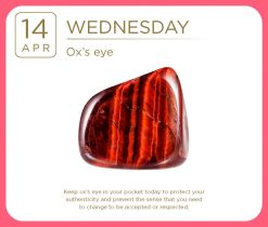 Crystal 2027 Boxed Desk Calendar - Image 7