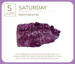 Crystal 2027 Boxed Desk Calendar - Image 10
