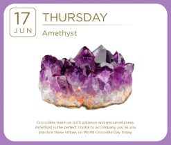 Crystal 2027 Boxed Desk Calendar - Image 11