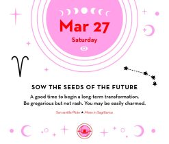 Astrology 2027 Boxed Desk Calendar - Image 7