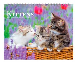 Kittens 2027 Double View Easel