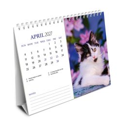 Kittens 2027 Double View Easel - Image 3