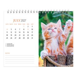 Kittens 2027 Double View Easel - Image 4