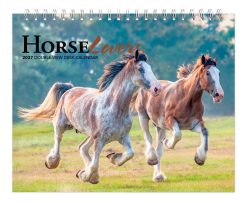 Horse Lovers 2027 Double View Easel