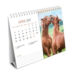 Horse Lovers 2027 Double View Easel - Image 3
