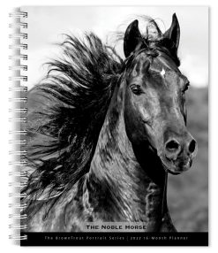 The Horse, The Noble, The BrownTrout Portrait Series 2027 Engagement