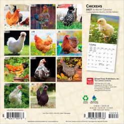 Alternative view of Chickens 2027 Mini Square Wall Calendar