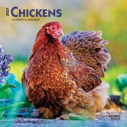 Chickens 2027 Mini Square Wall Calendar