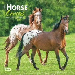 Horse Lovers 2027 Mini Square Wall Calendar