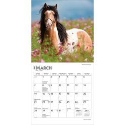 Horse Lovers 2027 Mini Square Wall Calendar - Image 3
