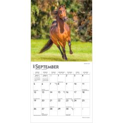 Horse Lovers 2027 Mini Square Wall Calendar - Image 4