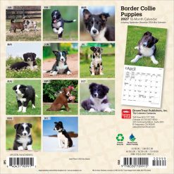 Alternative view of Border Collie Puppies 2027 Mini Square Wall Calendar