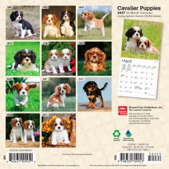 Alternative view of Cavalier King Charles Spaniel Puppies 2027 Mini Square Wall Calendar