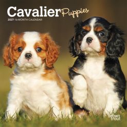 Cavalier King Charles Spaniel Puppies 2027 Mini Square Wall Calendar