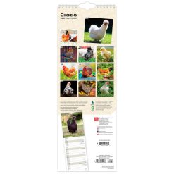 Alternative view of Chickens 2027 Slimline Wall Calendar