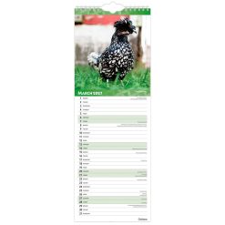 Chickens 2027 Slimline Wall Calendar - Image 3