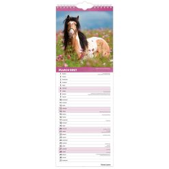 Horse Lovers 2027 Slimline Wall Calendar - Image 3